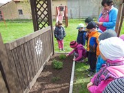 Pěstujeme bylinky na zahrádce